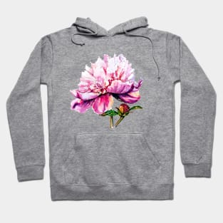 Pink peony Hoodie